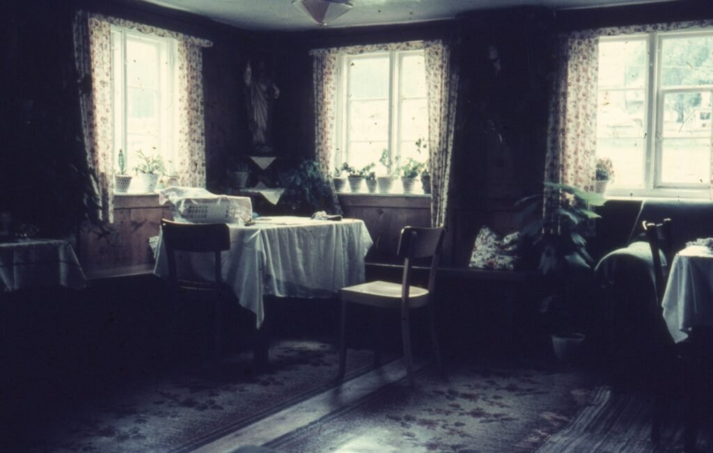 Chairs in dining room